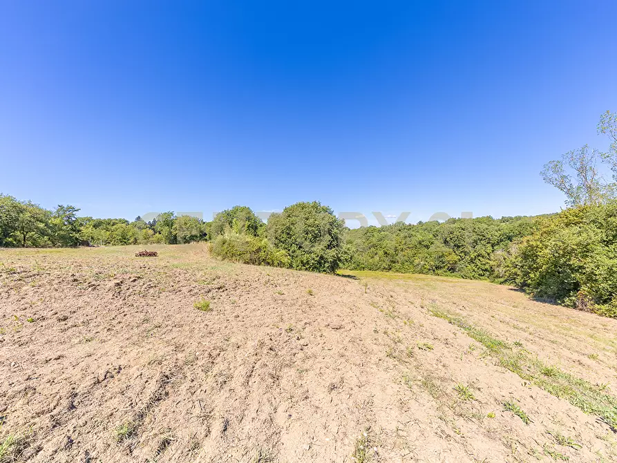 Immagine 38 di Rustico / casale in vendita  in località san quirichello a Barbarano Romano