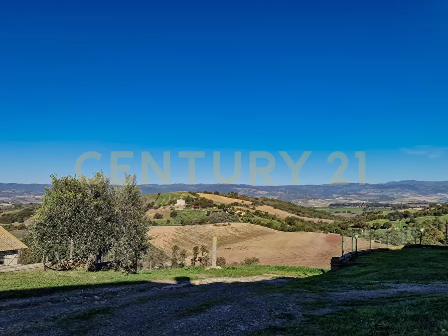 Immagine 37 di Rustico / casale in vendita  in Loc. Poderi di Montemerano a Manciano
