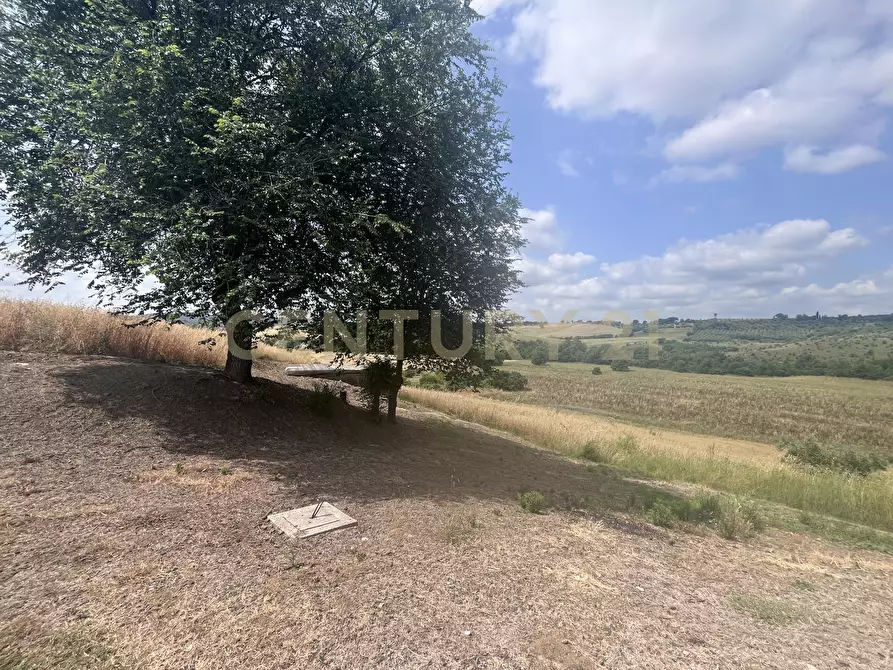 Immagine 17 di Rustico / casale in vendita  in Via Case Sparse a Scansano