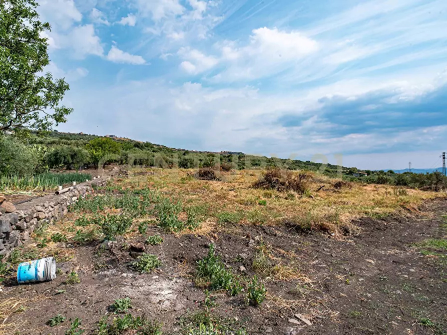 Immagine 36 di Terreno agricolo in vendita  in Via San Leo a Adrano