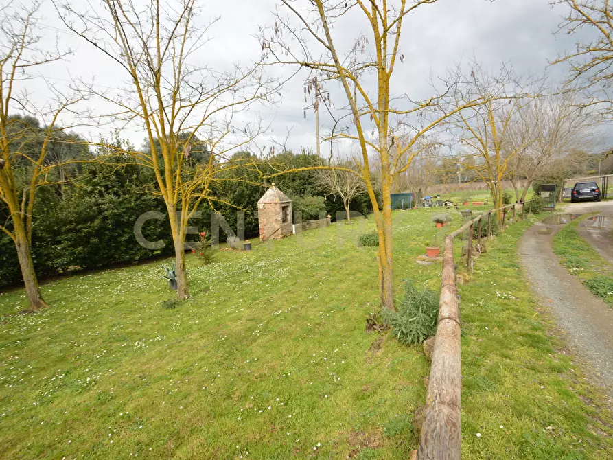 Immagine 5 di Rustico / casale in vendita  in Via Maria Alessandra Barbantini 8 a Grosseto