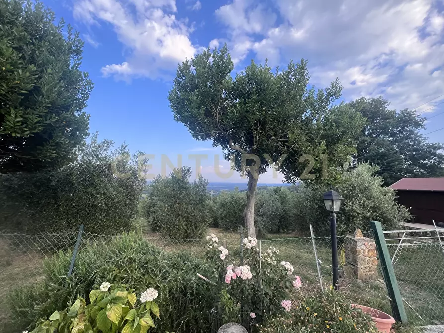 Immagine 29 di Rustico / casale in vendita  in Località Poggio Murella 280 a Manciano