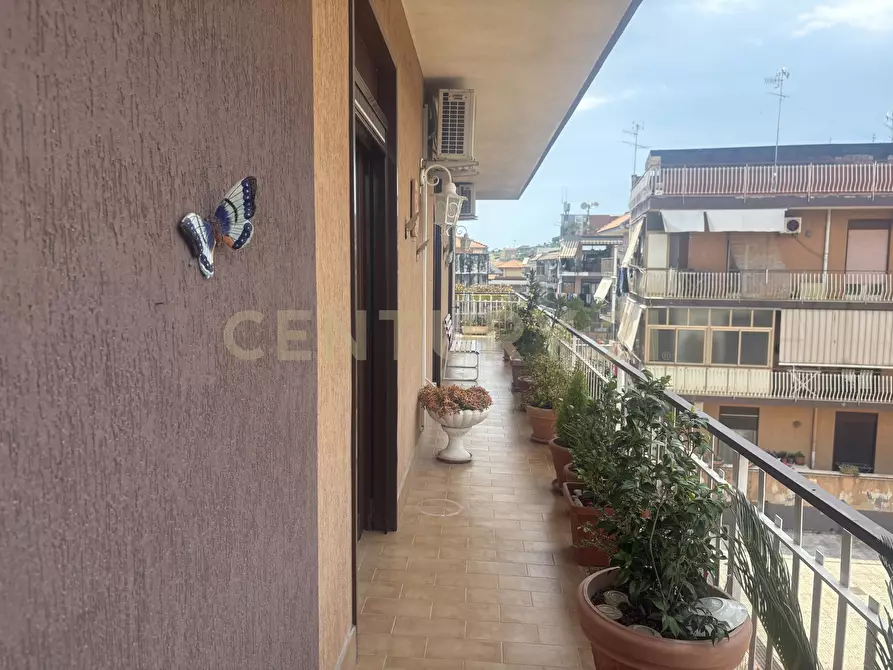 Immagine 23 di Appartamento in vendita  in Via Finocchiari 143 a Aci Catena