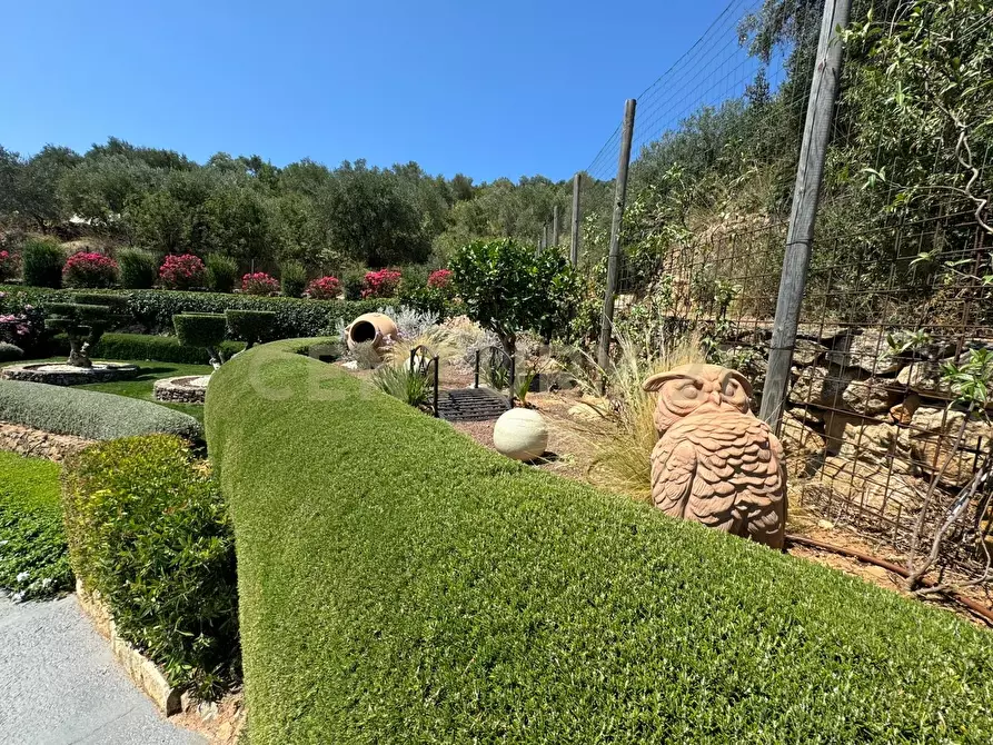 Immagine 17 di Porzione di casa in vendita  in Via degli Atleti a Monte Argentario