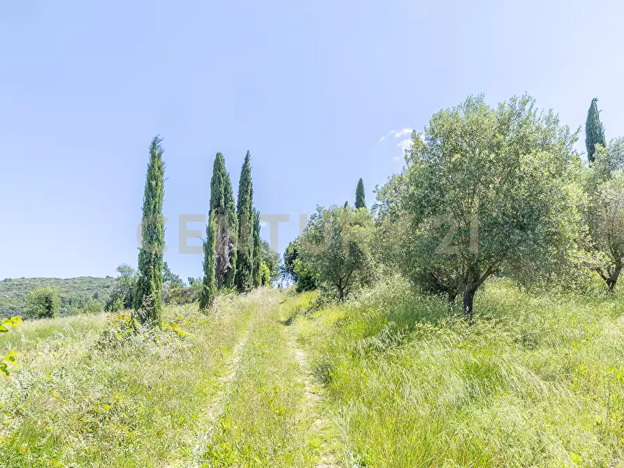 Immagine 33 di Rustico / casale in vendita  in Via Tiberina 384 a Narni