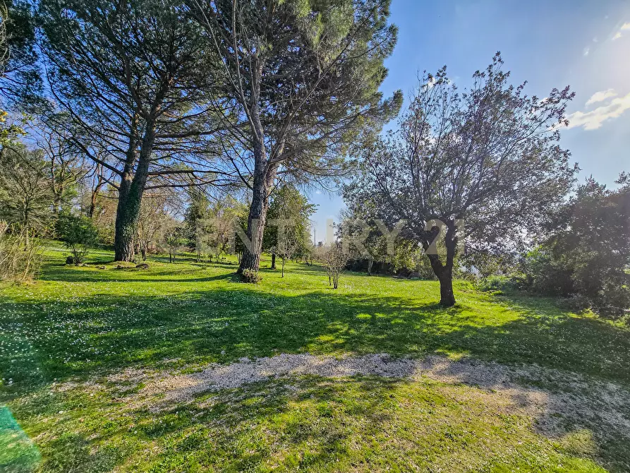 Immagine 25 di Villa in vendita  in Località Poggio Murella 68 a Manciano