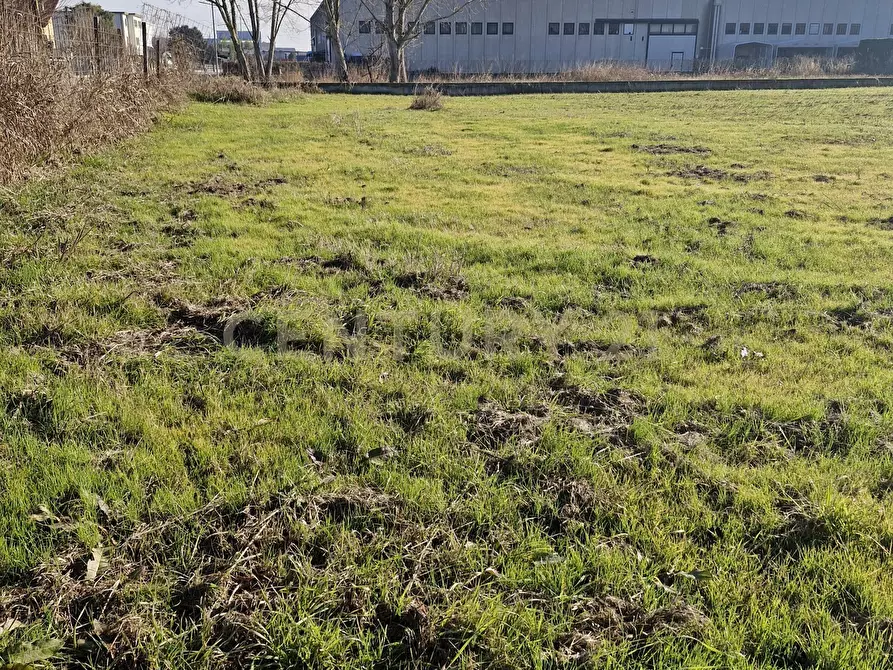 Immagine 13 di Terreno industriale in vendita  in Via Torino 5B a Cerea