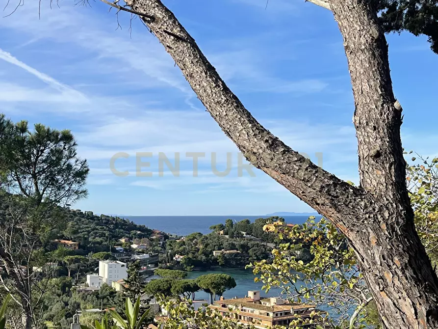 Immagine 32 di Porzione di casa in vendita  in Via Costa degli Ulivi a Monte Argentario