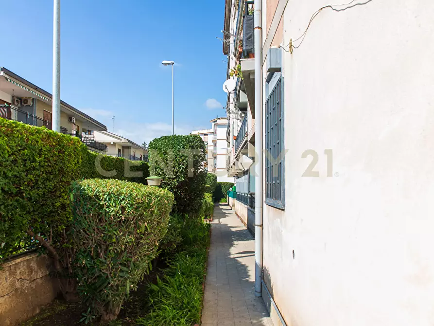 Immagine 30 di Bilocale in vendita  in Via Madonna di Fatima 71 a Gravina Di Catania