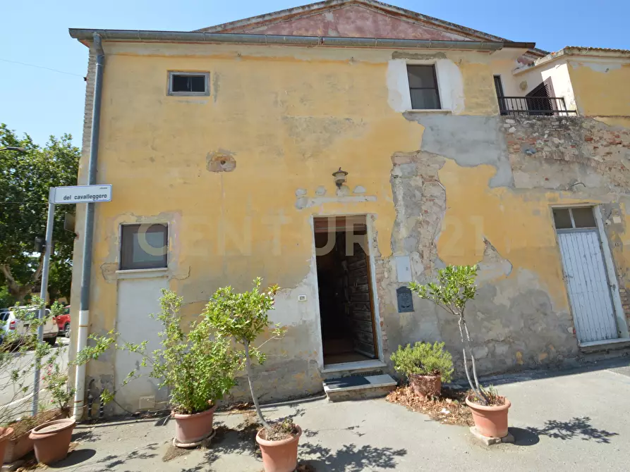 Immagine 23 di Appartamento in vendita  a Grosseto