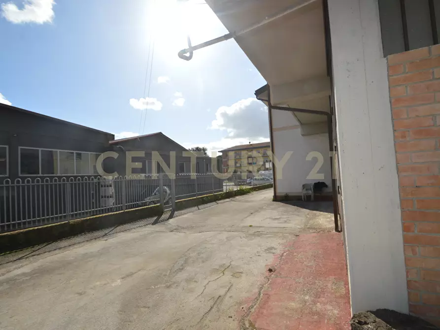 Immagine 51 di Casa bifamiliare in vendita  in Via Aurelia Nord 181 a Grosseto