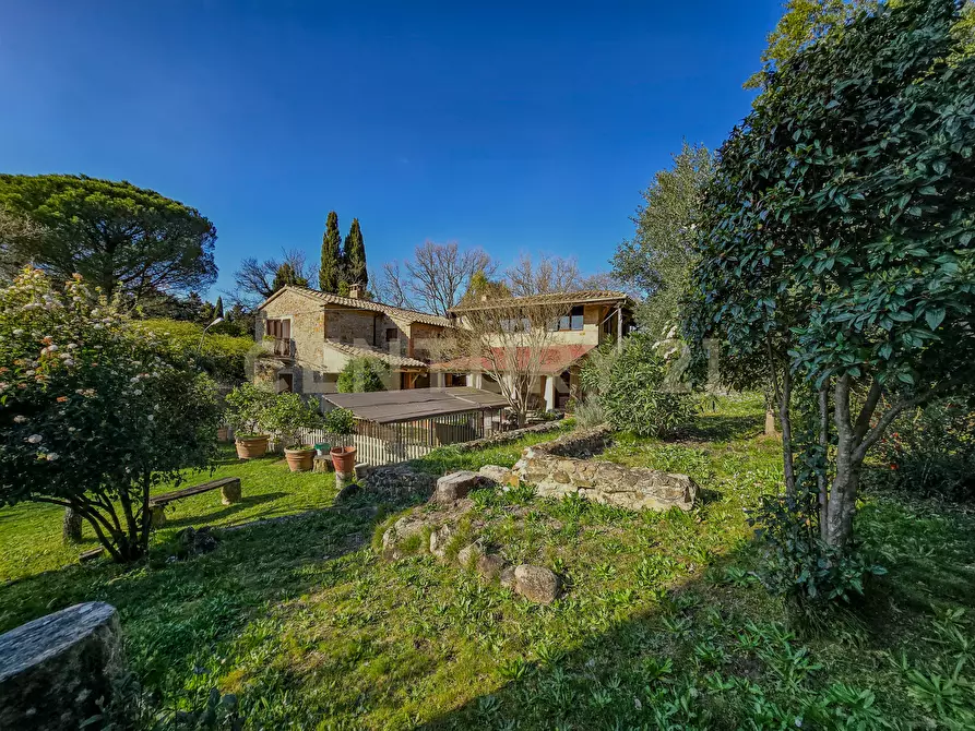 Immagine 3 di Villa in vendita  in Località Poggio Murella 68 a Manciano