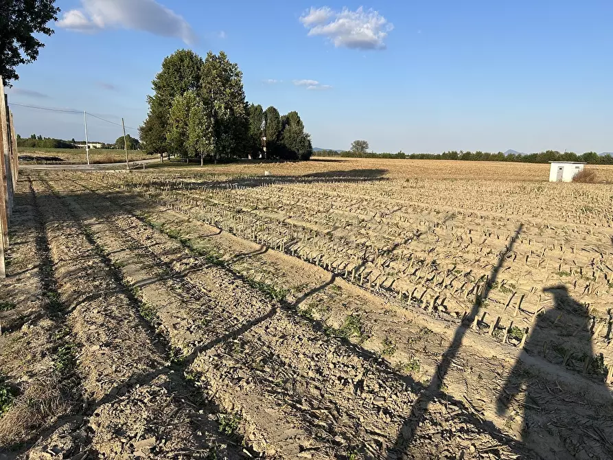 Immagine 73 di Rustico / casale in vendita  in Via Trento 70 a Minerbe