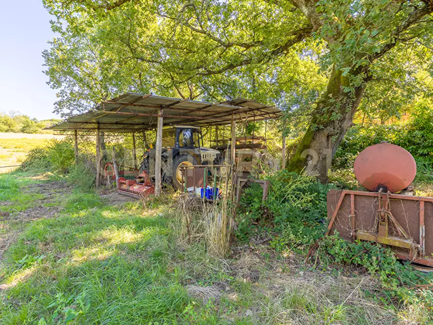 Immagine 22 di Rustico / casale in vendita  in località san quirichello a Barbarano Romano