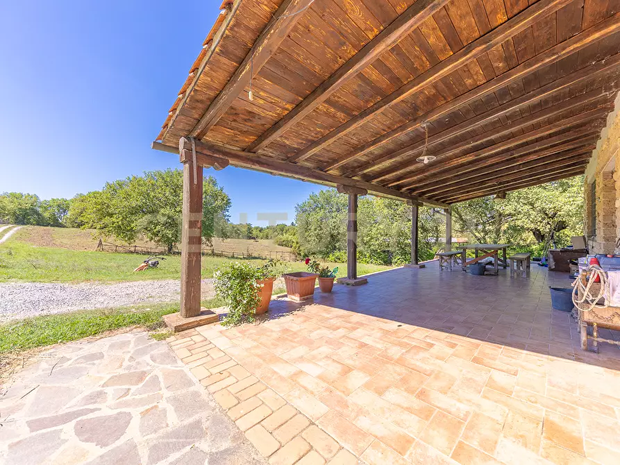 Immagine 14 di Rustico / casale in vendita  in località san quirichello a Barbarano Romano