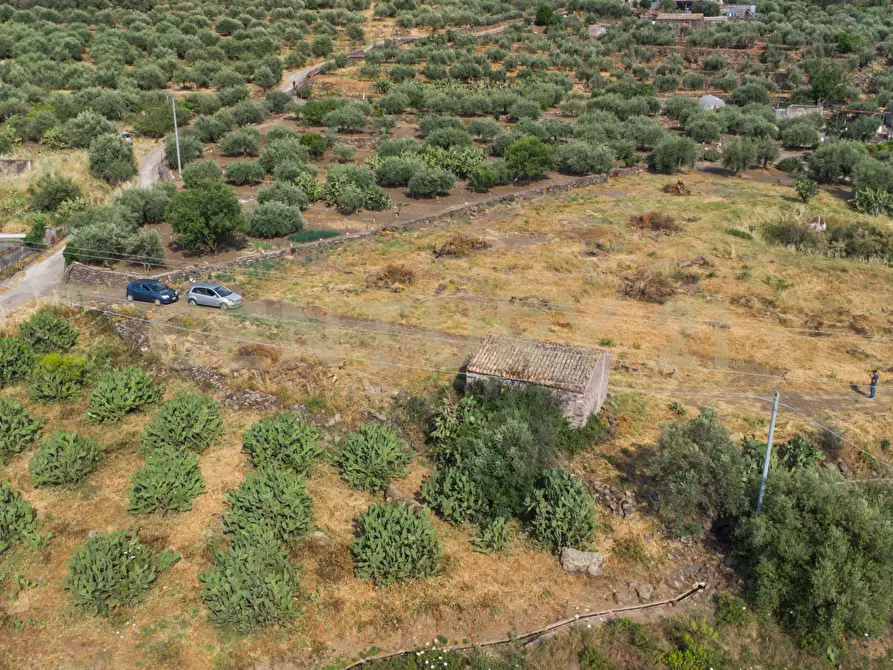 Immagine 5 di Terreno agricolo in vendita  in Via San Leo a Adrano