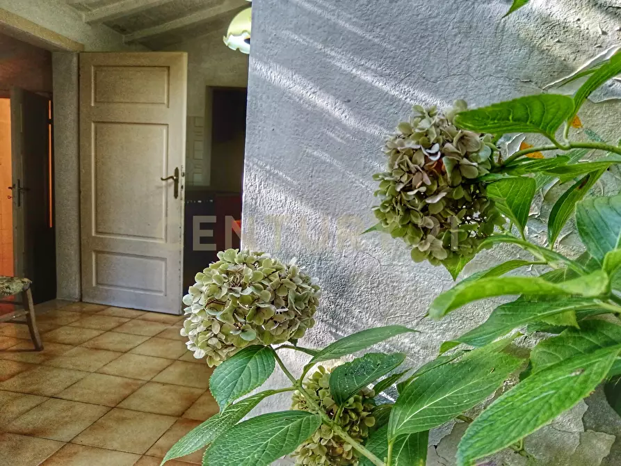 Immagine 26 di Rustico / casale in vendita  in Via del Parco 27 a Santa Fiora