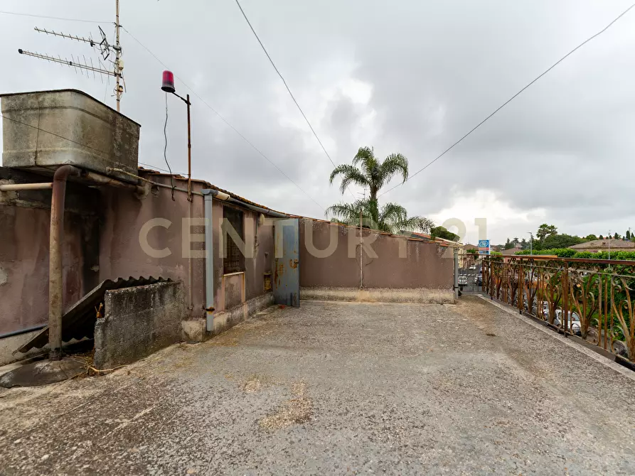 Immagine 38 di Casa indipendente in vendita  in Via Umberto 187 a San Gregorio Di Catania