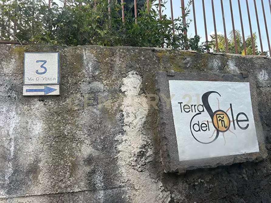 Immagine 3 di Terreno agricolo in vendita  in Via Giovanni Verga 1/A a Misterbianco