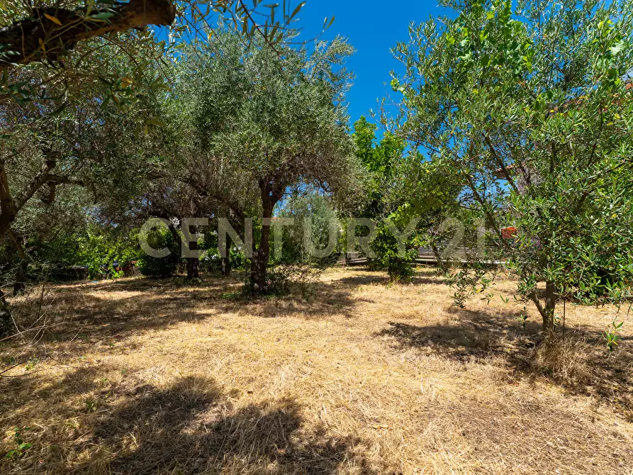 Immagine 33 di Terreno edificabile in vendita  in Via Piano del Conte 21 a Mascalucia