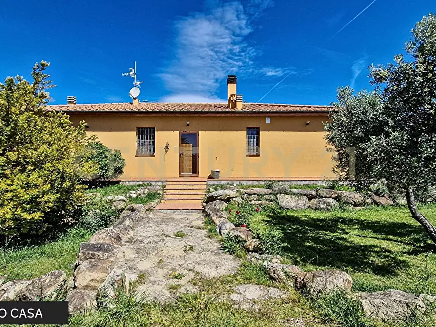 Immagine 1 di Azienda agricola in vendita  a Roccastrada