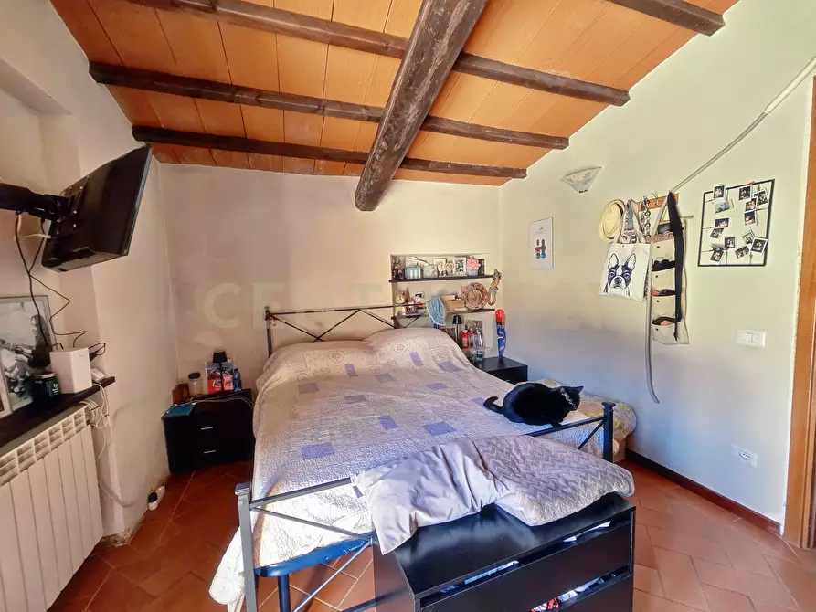 Immagine 29 di Rustico / casale in vendita  in Strada Provinciale Giuncarico 11 a Roccastrada