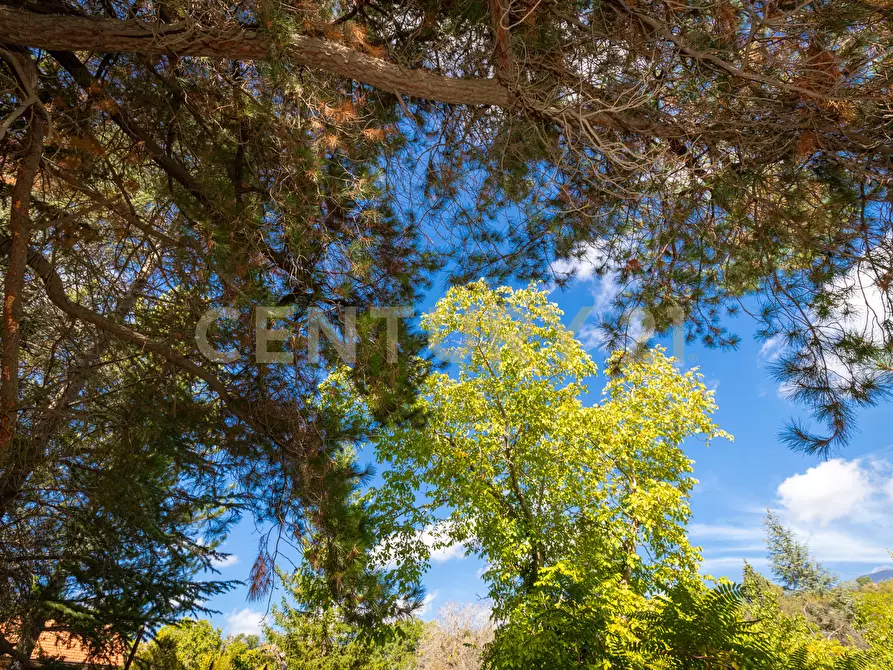 Immagine 7 di Villa in vendita  in Contrada Scolaro Cisterna a Adrano