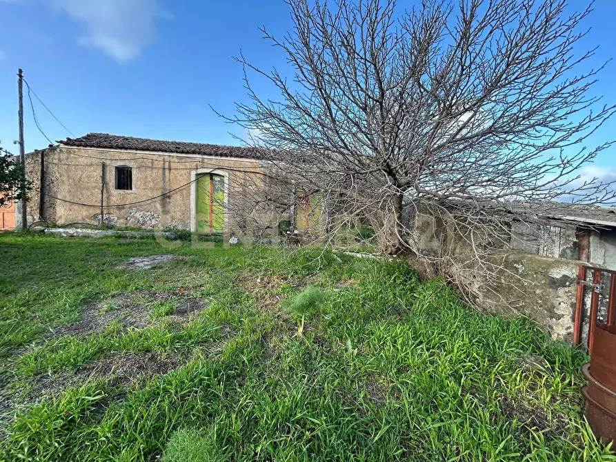 Immagine 19 di Terreno agricolo in vendita  in Via Giovanni Verga 1/A a Misterbianco
