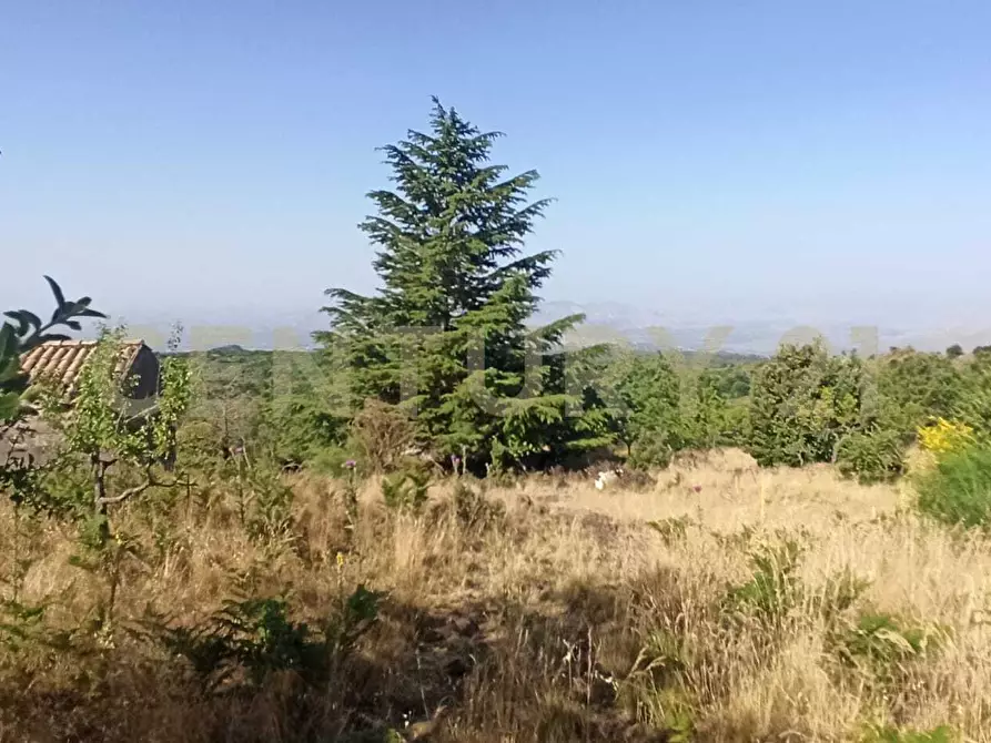 Immagine 8 di Terreno agricolo in vendita  in C.da Filiciusa a Biancavilla