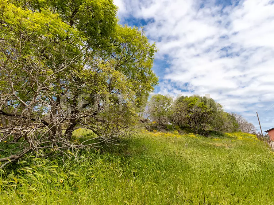 Immagine 27 di Terreno industriale in vendita  in Via dei Belfiore 4 a Valverde