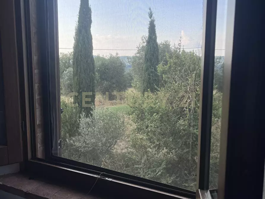 Immagine 17 di Rustico / casale in vendita  in Località Poggio Murella 280 a Manciano