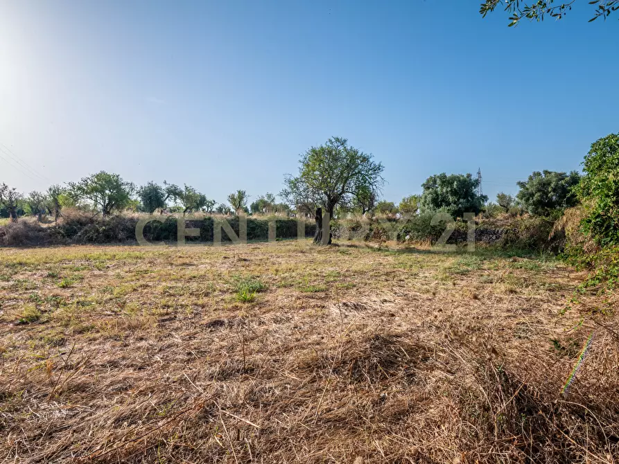 Immagine 16 di Bar / Ristorante in vendita  in Via Filisto 168 a Siracusa