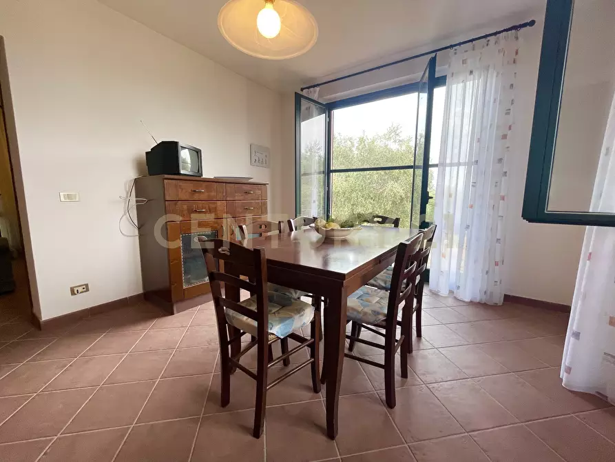 Immagine 13 di Azienda agricola in vendita  in località colle di lupo a Magliano In Toscana