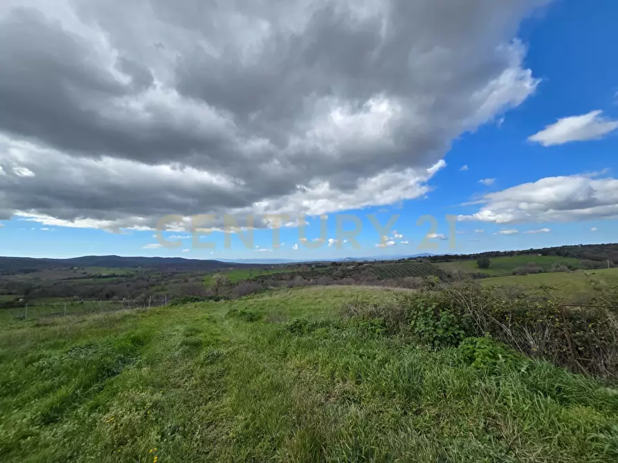 Immagine 14 di Rustico / casale in vendita  in località mandorlaie a Scansano