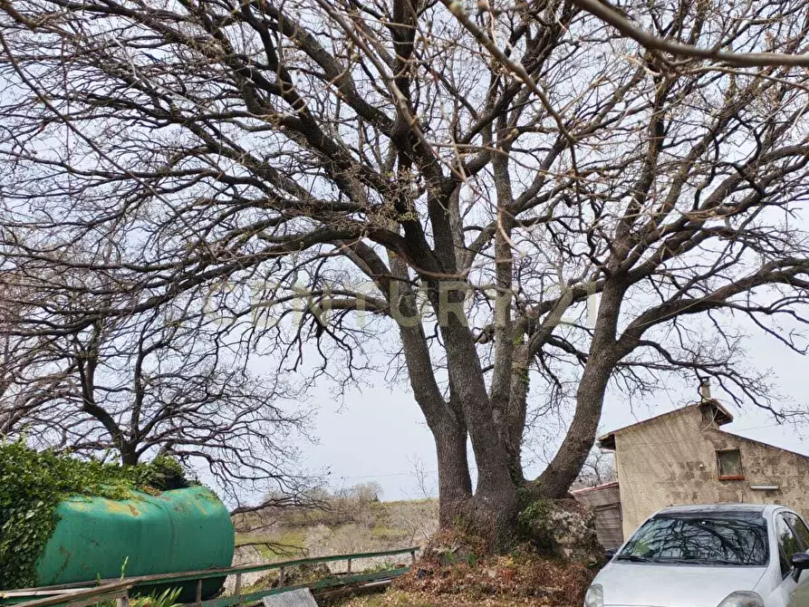 Immagine 12 di Terreno agricolo in vendita  in BIANCAVILLA a Catania