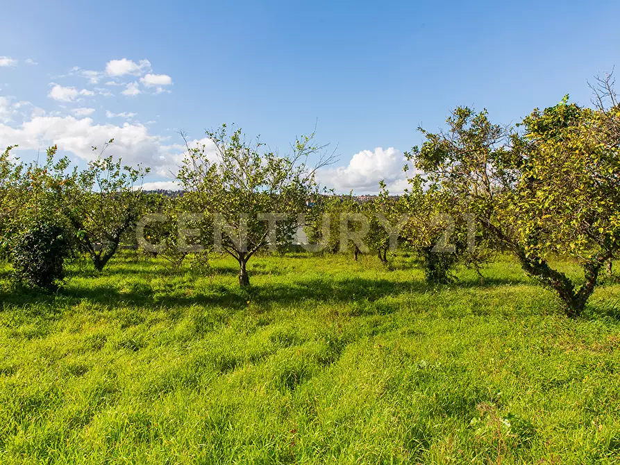 Immagine 19 di Terreno agricolo in vendita  in Via San Piero Patti 108 a Acireale