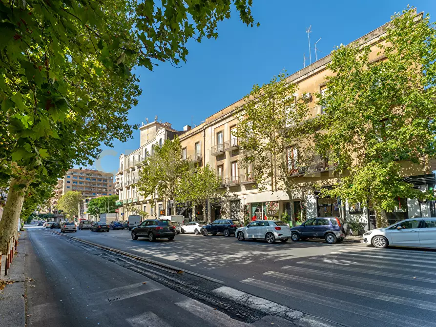 Immagine 2 di Pizzeria / Pub in vendita  in Viale Vittorio Veneto 7a a Catania
