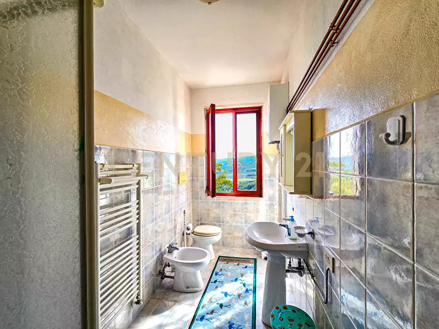 Immagine 33 di Rustico / casale in vendita  in Località Granchiaia snc a Massa Marittima