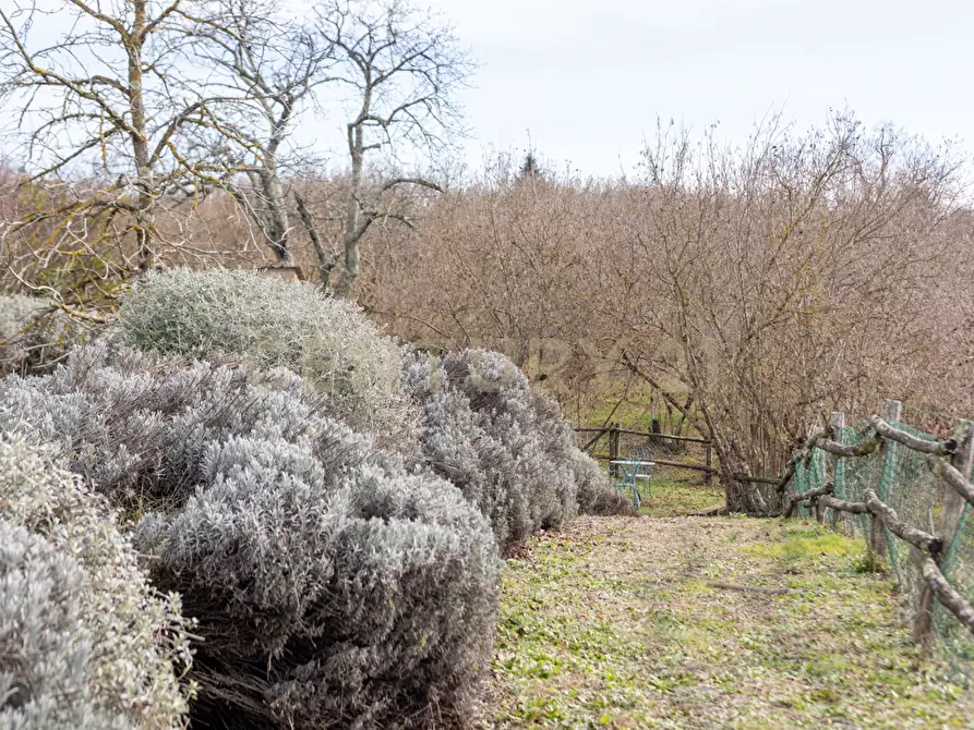Immagine 42 di Villa in vendita  in Località Campo Rotondo snc a Capranica