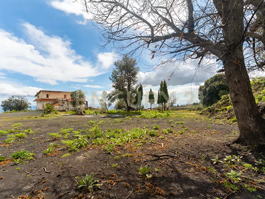 Immagine 25 di Villa in vendita  in SP155 82 a Mascali