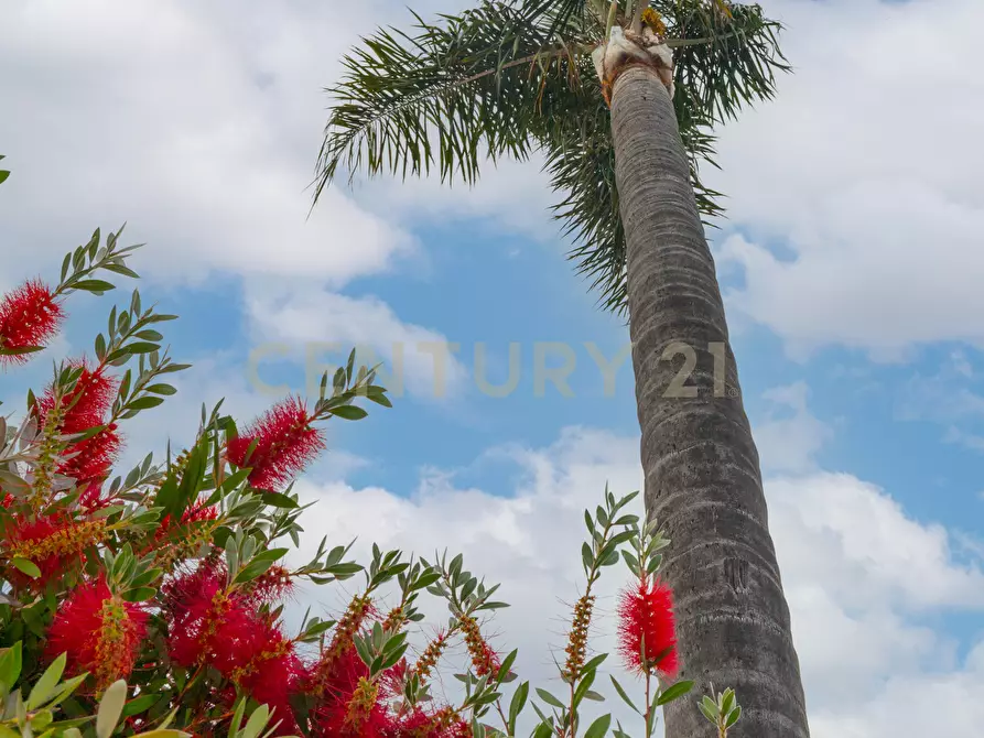 Immagine 10 di Porzione di casa in vendita  in Via Simone Neri 7 a Mascali