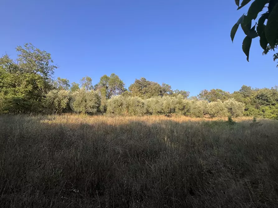 Immagine 4 di Terreno agricolo in vendita  in Via Acquasanta 27 a Sulmona