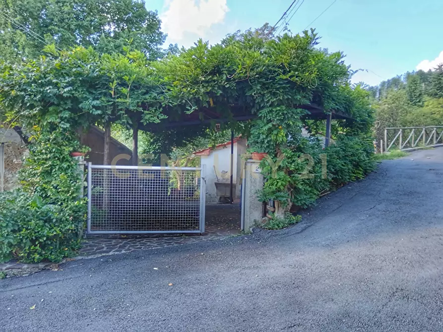 Immagine 25 di Rustico / casale in vendita  in Via del Parco 27 a Santa Fiora