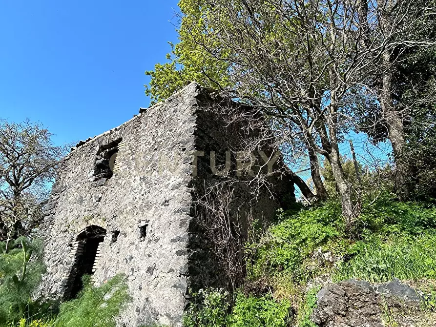 Immagine 13 di Terreno agricolo in vendita  in CONTRADA VIGNE a Biancavilla
