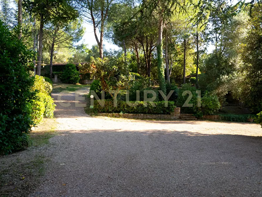 Immagine 95 di Rustico / casale in vendita  a Cinigiano