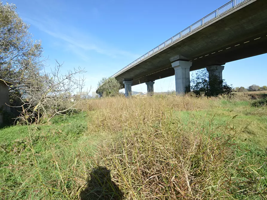 Immagine 9 di Rustico / casale in vendita  in Strada dell'Isolotto a Grosseto