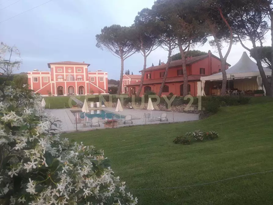 Immagine 10 di Azienda agricola in vendita  in Strada della Sgrilla 16/a a Capalbio