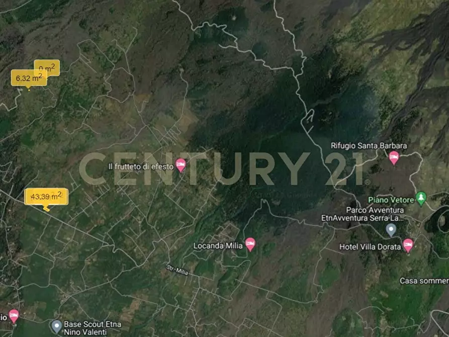 Immagine 17 di Terreno agricolo in vendita  in C.da Filiciusa a Biancavilla