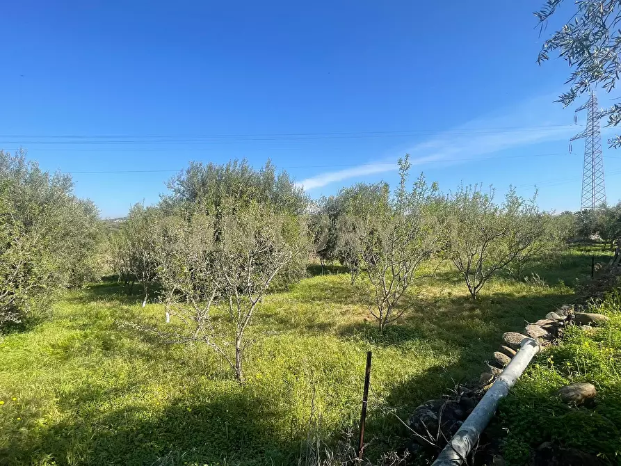 Immagine 18 di Terreno agricolo in vendita  in contrada agnelleria a Belpasso