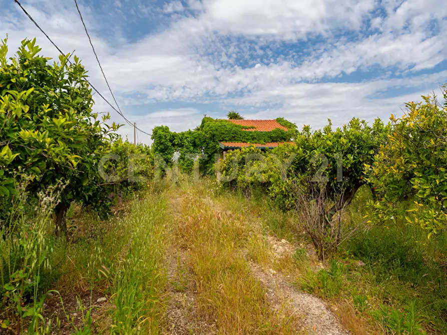 Immagine 21 di Rustico / casale in vendita  in Strada Provinciale 92 92 a Francofonte